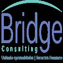 Logo de Bridge Consulting
