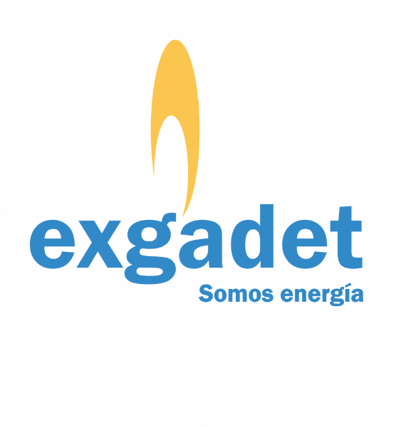 Logo de Exgadet