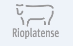 Logo de Frigorifico Rioplatense