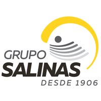 Logo de Grupo Salinas