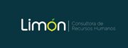Limón Consultora