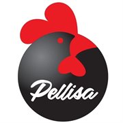 Pellisa Distribuidora