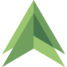 Logo de Pyyne