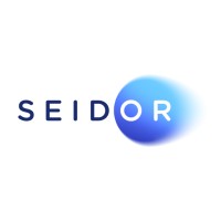 Logo de Seidor Consulting SA