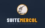 Suite Mercol