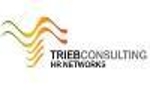 Logo de Trieb Consulting