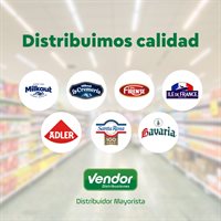 Logo de Vendor Srl