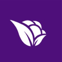 Logo de Violetta Cosmeticos