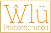 Logo de WLÜ Consultora